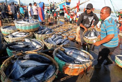Sektor Perikanan: Harga Ikan Naik Akibat Turunnya Tangkapan