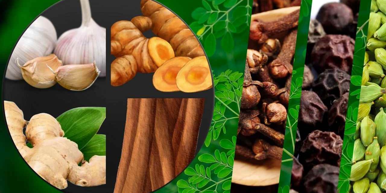 Penderita Kolesterol Bisa Pakai Rempah Ini Untuk Mengatasinya