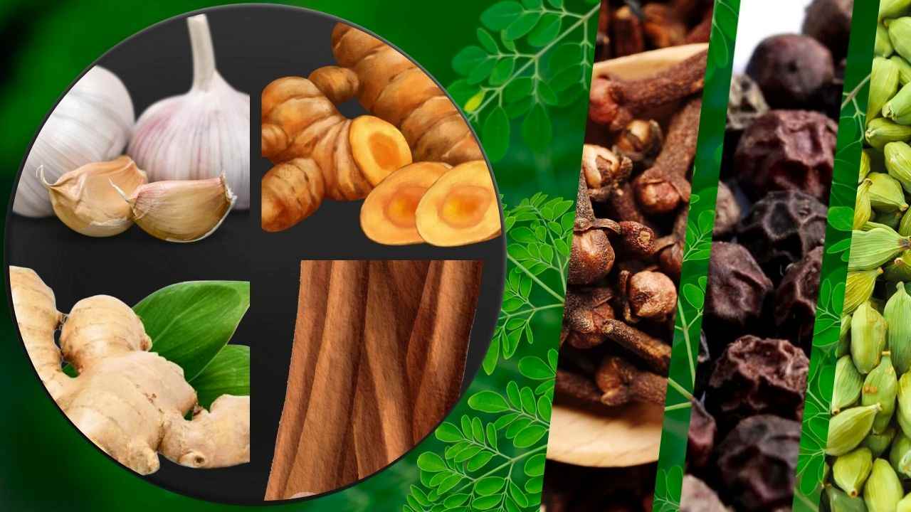 Penderita Kolesterol