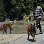 Fakta Unik Anjing Pelacak Bisa Memetakan Arah Sumber Bau