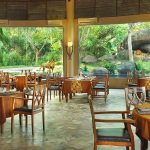 Rasakan Sensasi Dinner Seru Di Bali Night Safari Park