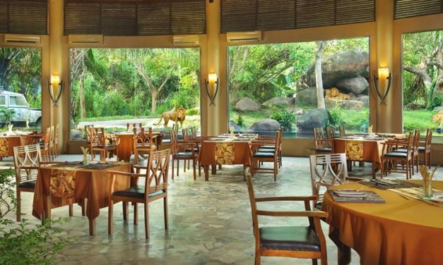 Rasakan Sensasi Dinner Seru Di Bali Night Safari Park