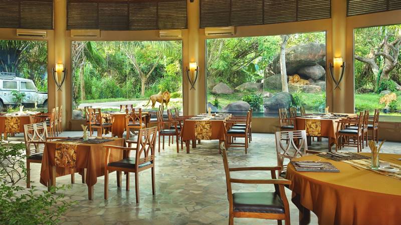Rasakan Sensasi Dinner Seru Di Bali Night Safari Park